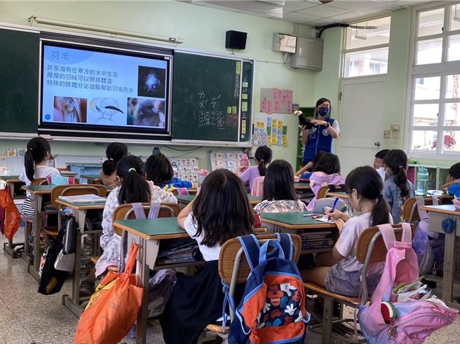 海洋保育署推廣海洋教育，邀請國小三年級以下及幼兒園教師共同參與。（示意圖，資料照片）