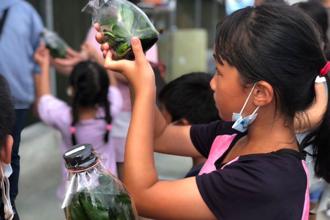 化身一日小农夫 嘉县鹿草乡农游手作超好玩