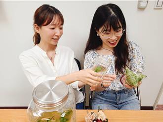 驱虫艾草自己种！新北景观处教种植术 打造疗癒可食地景