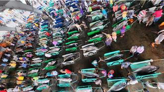 東港黑鮪魚大豐收提早3天禁捕 12日0時起停止捕撈