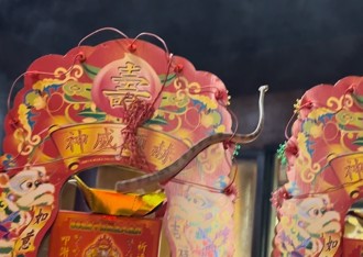 「帝爺公蛇」連續45年現身南投天受宮 廟方曝靈蛇離開留1物