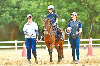 桃園 合法場地難尋 希望馬場陷困境