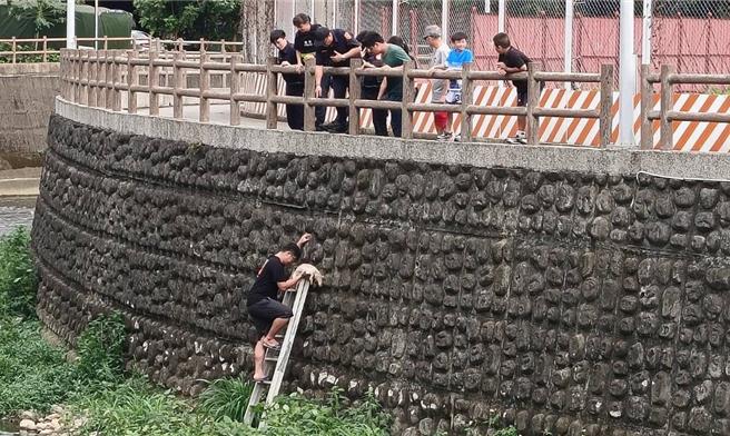 兄弟檔為救小狗受困河堤，員警出動架梯救援。(警方提供／呂筱蟬桃園傳真)
