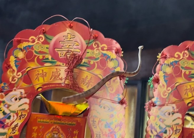 南投县名间乡天受宫每年端午节前，都有一条俗称「帝爷公蛇」的灵蛇造访。（图／天受宫主委陈政雄提供）