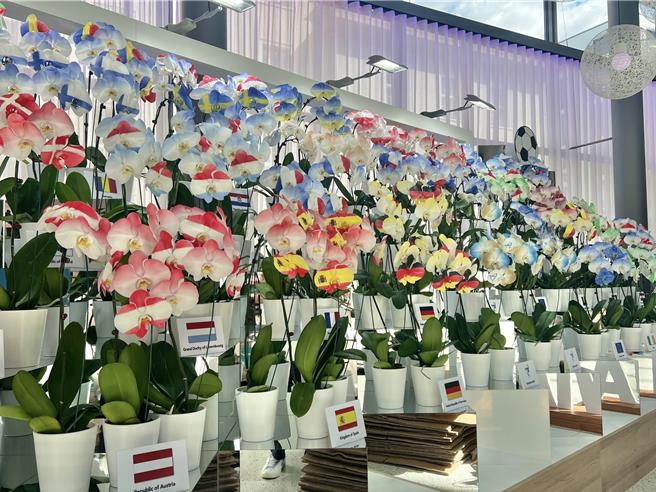 看到台湾奈米喷染欧盟27国旗在兰花花叶上，现场欧洲贵宾对此感到非常惊艳。(贸协提供)