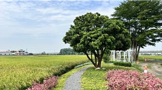 台南後壁「田園之境」 輕騎漫遊穿梭田野感受農村風情