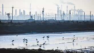 台塑集團清除陸障 大舉轉型