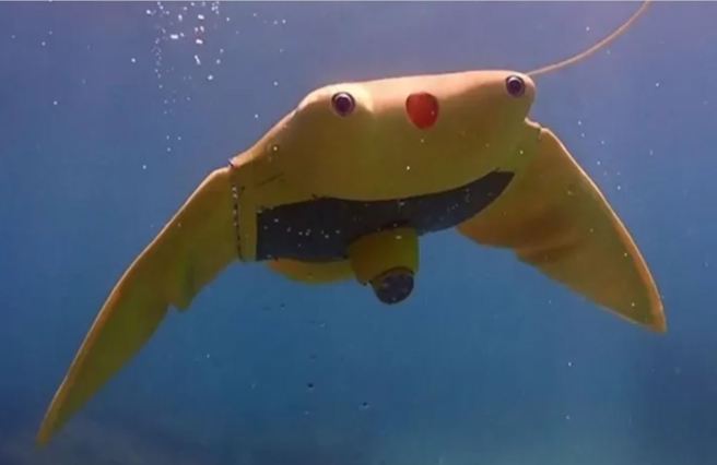 西北工業大學研製的「蝠鱝」仿生潛航器今年在南海實測的畫面。（央視）