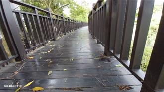 北市樂活櫻花季門面多處毀壞　五分埤步道將整建