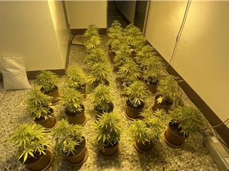 和美透天厝成大麻農場   增產量「衣櫃也當溫室」3嫌遭逮