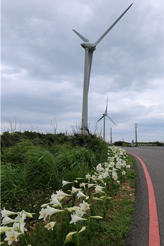 後龍鎮公所推出「漫步後龍」體驗海洋生態暢遊活動