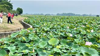 台南首办农渔地景艺术节 歌舞乐戏创新演出 