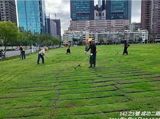 高雄綠地革命 打造「植感綠城市」