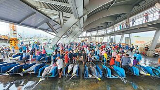 屏東 黑鮪魚今起禁捕 漁民盼補貼損失