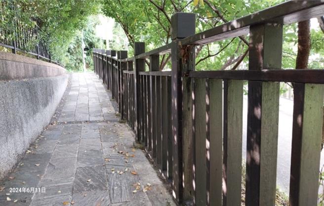 台北市樂活櫻花季吸引全台觀光客至內湖區內溝溪沿線賞櫻，五分埤步道作為北市門面卻有多處毀損。（內溝里長王曉芳提供／劉彥宜台北傳真）