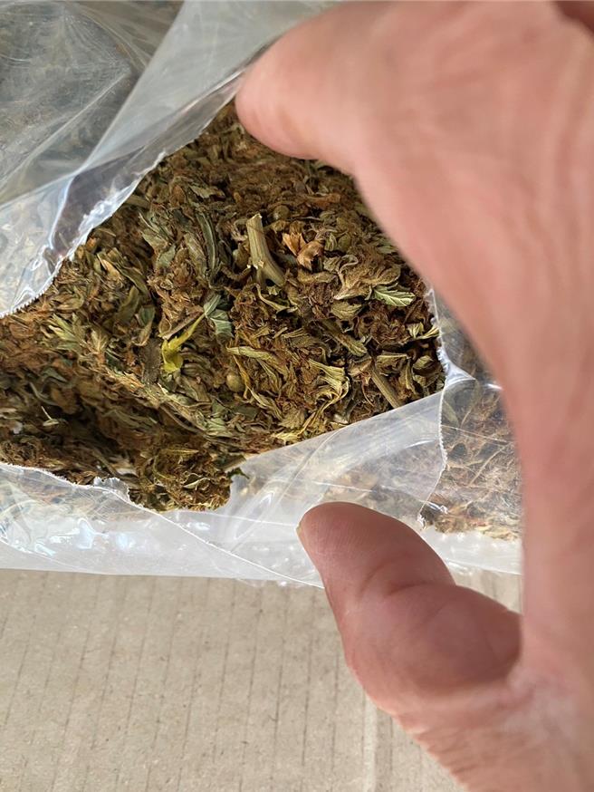 偵破跨國走私毒品案 檢調憲警查扣131公斤大麻花（調查局提供）