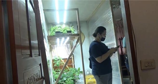 警方入內搜索發現28盆墨西哥鼠尾草。（翻攝照片／洪靖宜高雄傳真）