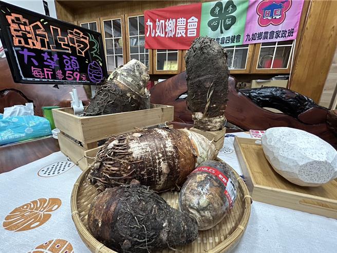 屏東縣九如農會總幹事龔泰文對「炮彈芋頭」驚喜連連，以1台斤59元的促銷價幫農友在農會超市上架推廣。（謝佳潾攝）