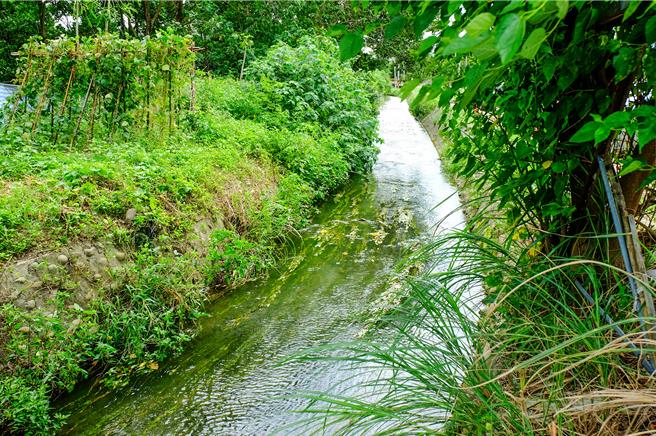 東興圳幹線強化工程長全2公里，從水圓環閘門為起點，做到竹北市興隆路5段，預計明年4月1完工，強化基礎圳路外，並將使東興圳幹線兼具生態、綠美化、景觀及遊憩等多樣性功能。（羅浚濱攝）