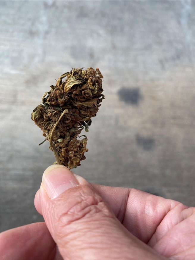 基隆地检署与3月破获大麻花走私毒品案，毒枭集团从泰国走私大麻花冒充汽车零件装柜申报进口运毒，共查扣净重131.3公斤的大麻花，估计市值1.4亿元。（基隆地检署提供／徐佑升基隆传真）