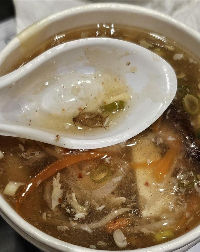 高雄一名民眾11日叫外送平台上的前鎮區某間牛肉麵，沒想到他叫的酸辣湯裡面竟漂浮著一隻已死亡的小強。（翻攝自報廢公社／楊舒婷高雄傳真）