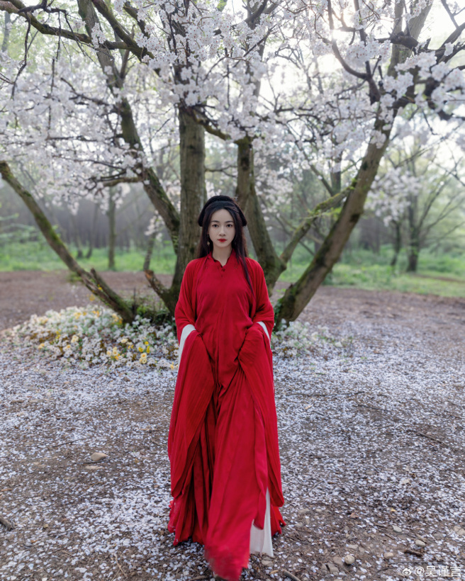 吴谨言被网友封为「乳房保护侠」。（图／翻摄自吴谨言 微博）