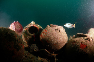 潛水見海底詭放「11個密封罈」 網驚喊：千萬別打開