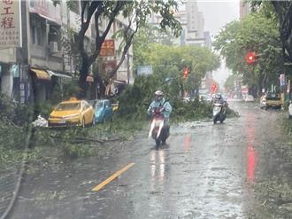 強颱吹倒路樹壓毀民宅   屋主怒告國有財產署賠償勝訴