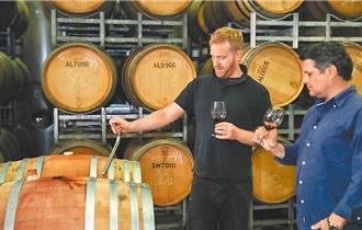 陸取消禁令後 澳部長認了：葡萄酒銷量「超過前3年」