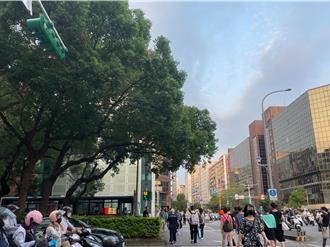 北市7、8月尖峰時間縮短紅燈秒數 平均減少21秒曝曬