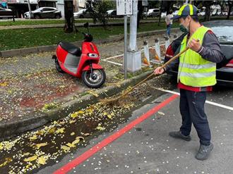 阿勃勒落花害機車打滑 台中推智慧化管理不讓花瓣成隱形殺手 