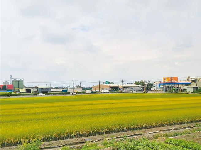 云林县在国土计画中被画为「农一」、「农二」的土地近8万8000公顷，是全国最多。（周丽兰摄，报系资料照片）