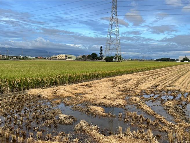 雲林縣府比照屏東縣畫設農一、農二方法，私有地全數畫為農二，雲林縣的農二面積從2萬6614公頃變成8萬1611公頃，農一從6萬0834公頃銳減為5836公頃。（周麗蘭攝）