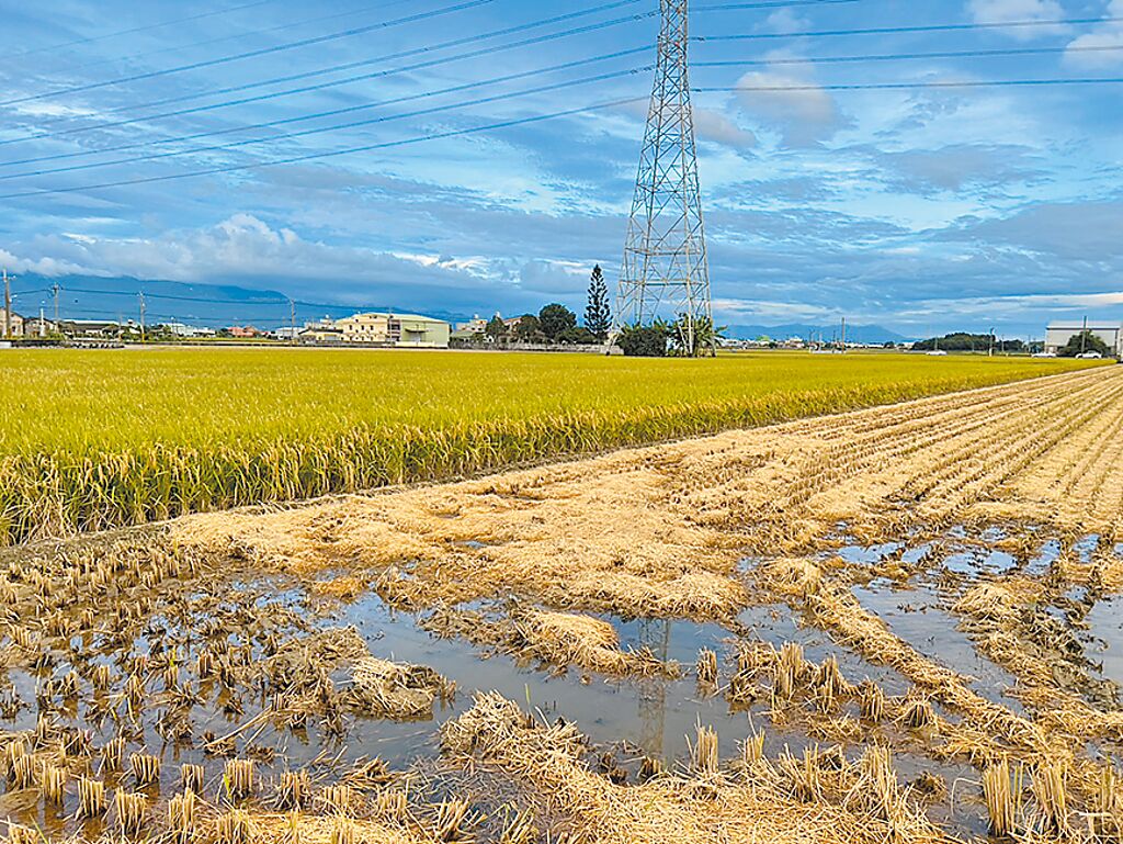 雲林縣府比照屏東縣畫設農一、農二，私有地全數畫為農二，面積從2萬6614公頃變成8萬1611公頃，農一從6萬834公頃銳減為5836公頃。（周麗蘭攝）