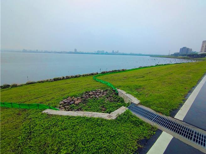 陸蟹經水溝通道沿帆布至河邊產卵。（新北市高灘處提供／張鎧乙新北傳真）