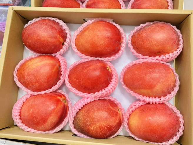 龍蝦芒果一顆要價近200元，產期只到六月底，限量銷售。(戴志揚翻攝)