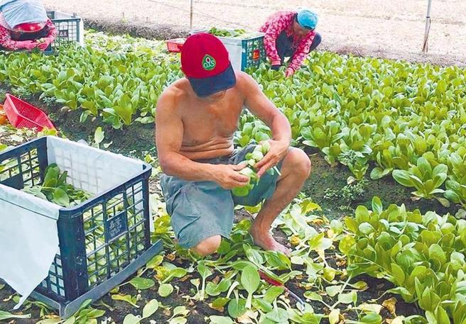 据统计，2022至2023年专责医院开立职业病诊断书，后续申请劳保局职业病相关给付中仍有6.9％不被认定为职业病。（报系资料照）