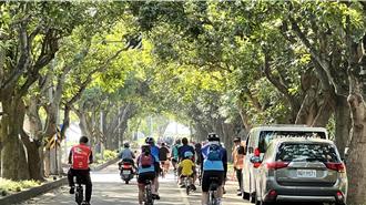 柳營好美！千棵芒果樹下 百人騎單車遊賞