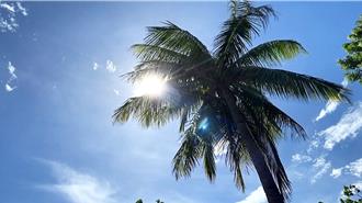 台東熱炸！飆40度高溫 野溪、冰店湧現消暑人潮