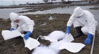 海洋環境監控全台最完備 桃園蟬聯5年全國特優