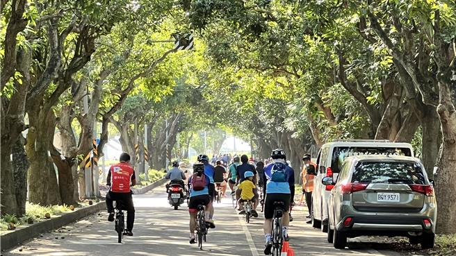 台南市柳營區公所行銷太康綠色隧道的特色，15日邀請單車車友遊賞沿途景致風光。（張毓翎攝）