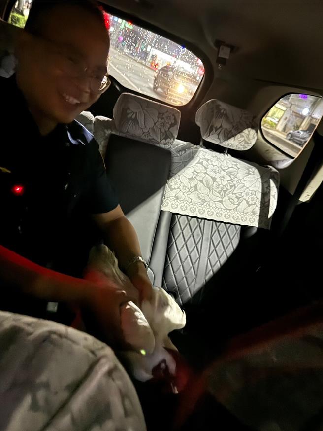 警方在路上「逮捕」走失的白色公鸡，将其带上警车，鸡在上车前还不满的「咕咕」几声以示抱怨。（警方提供／任义宇高雄传真）