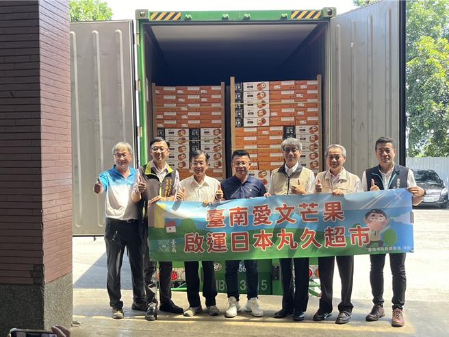 台南10.5吨爱文芒果15日封柜销往日本。（市府提供／宝智华台南传真）