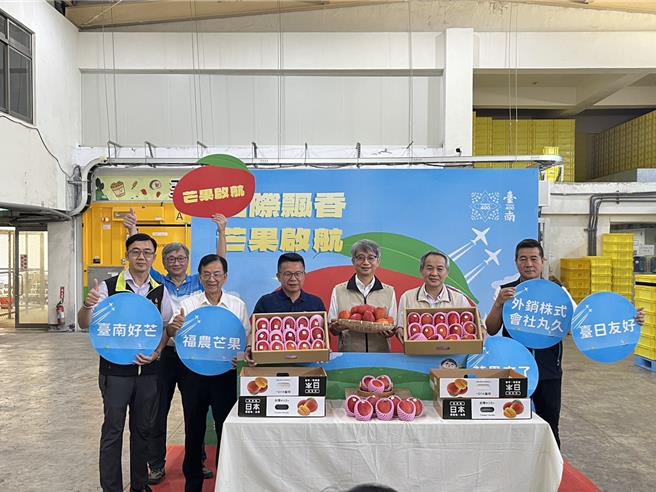 台南爱文芒果进入盛产期，本次10.5吨外销日本芒果由南化区农会产销班75班生产。（市府提供／宝智华台南传真）