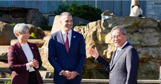 陸總理李強：將向澳洲提供新一對大貓熊