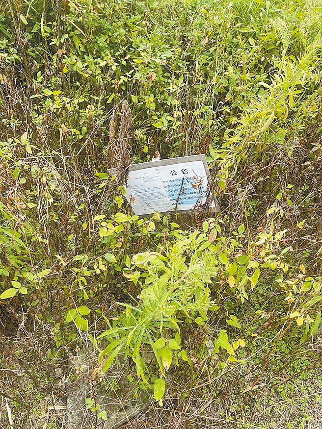 民航局在農田插牌警告，若農民再有耕種行為，將會採取法律措施，但卻對農田置之不理，無任何管理行為。（姜霏攝）