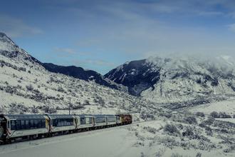 提案大公開！夏天就是該玩南半球 紐西蘭七大內行人避暑行程