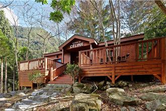 八仙山森林遊樂區再升級 小木屋有濃濃高山五木味