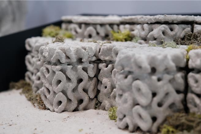 台科大设计系大四学生蒋佳颖与林劭宇的毕制作品「Ecotrapod 消波新解方」，比传统消波块更加轻盈，同时达到减碳、提升海洋废弃物（牡蛎壳）价值的目的。（台科大提供／林志成台北传真）