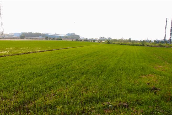 苗栗县目前设农一的土地约6396公顷、农二的土地约8709公顷，其中农一私有土地约5069公顷，占农一总面积达79％。（李京升摄）